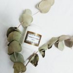 Pot à pharmacie Celestoderm Relais en opaline vu de profil